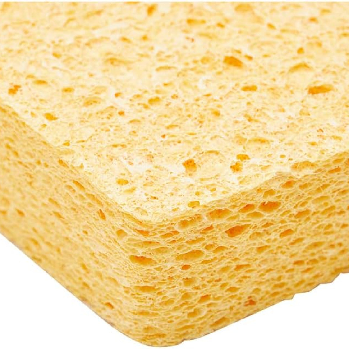 Prodec Cellulose Sponge - Standard Size