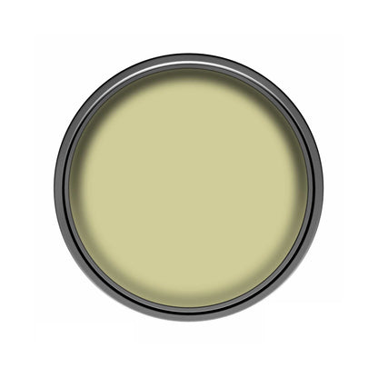 Dulux Easycare Kitchen Matt Paint - Melon Sorbet - 2.5 Litre