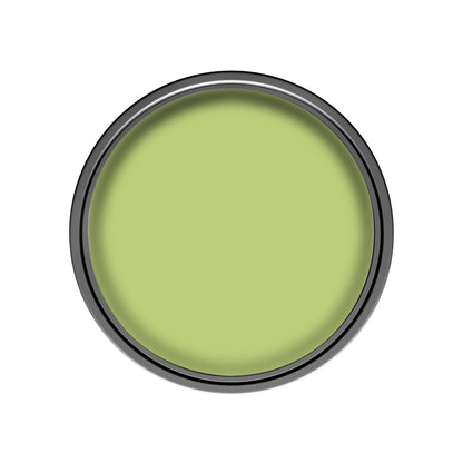 Dulux Silk Paint - Kiwi Crush - 2.5 Litre