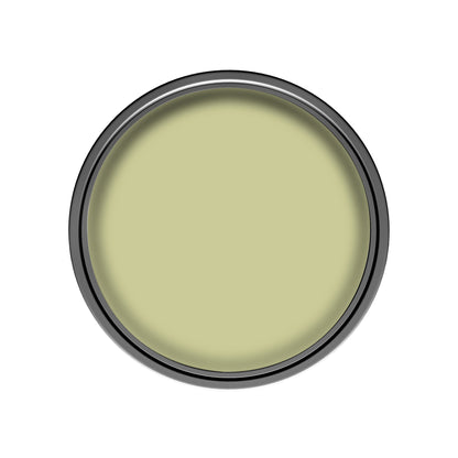 Dulux Silk Paint - Melon Sorbet - 2.5 Litre